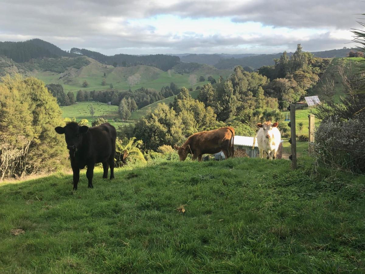 Nadarra Hideaway Acomodação com café da manhã Otorohanga Exterior foto